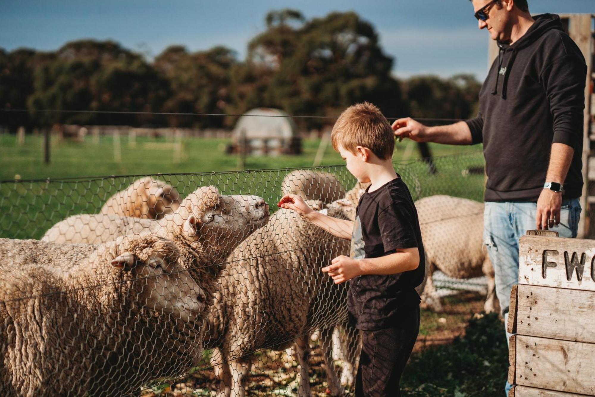 Freshwater Creek Cottages&Farm Stay Torquay Exteriör bild