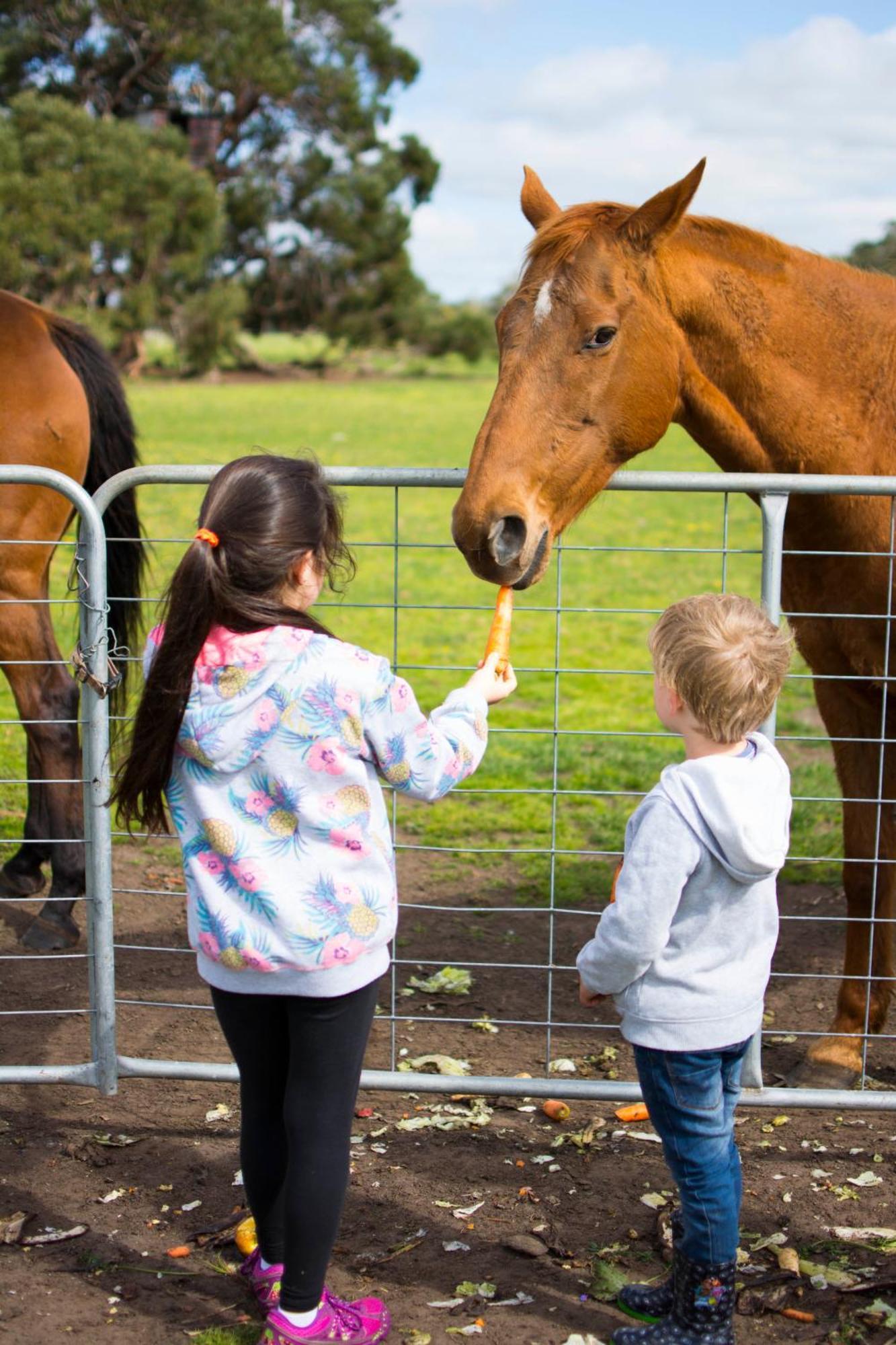 Freshwater Creek Cottages&Farm Stay Torquay Exteriör bild