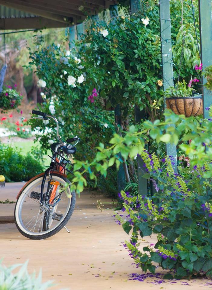 Freshwater Creek Cottages&Farm Stay Torquay Exteriör bild
