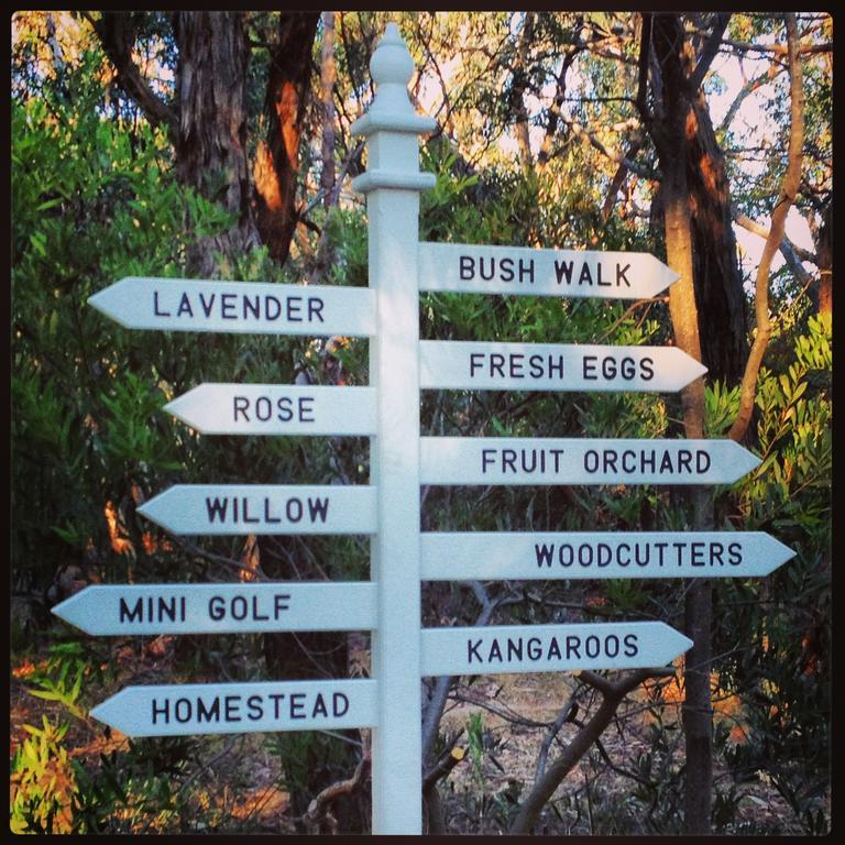 Freshwater Creek Cottages&Farm Stay Torquay Exteriör bild